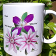 mug DS-112 Clematis 'Nelly Moser', 'Mikelite 7145.jpg